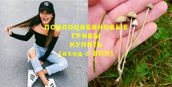 jwh Богородицк