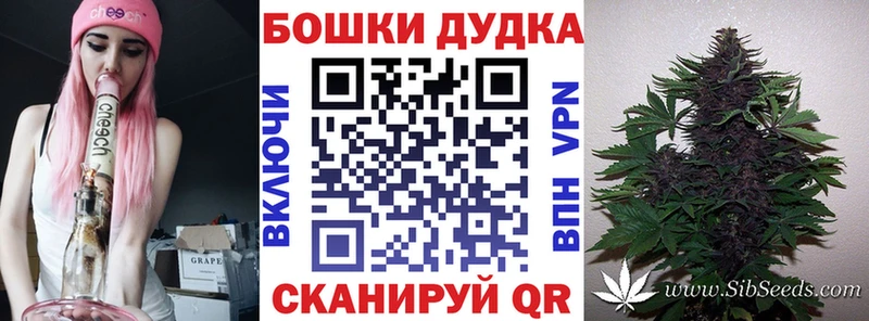 магазин продажи наркотиков Дигора кракен ТОР Канабис сатива